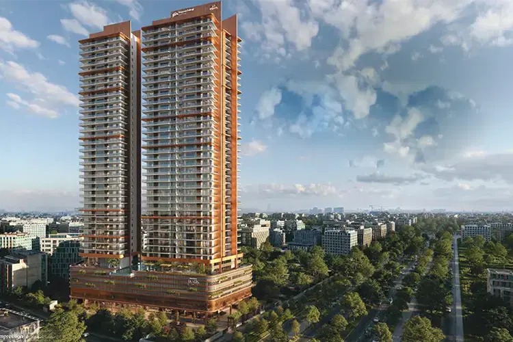 Shapoorji Pallonji Dualis