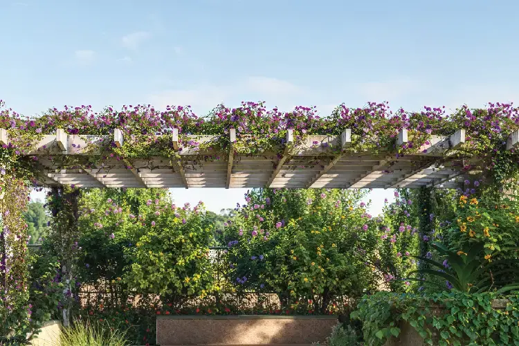 Godrej Evora Estate Main Banner 2