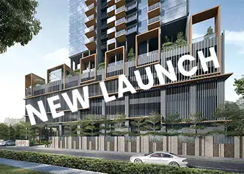 New Launch