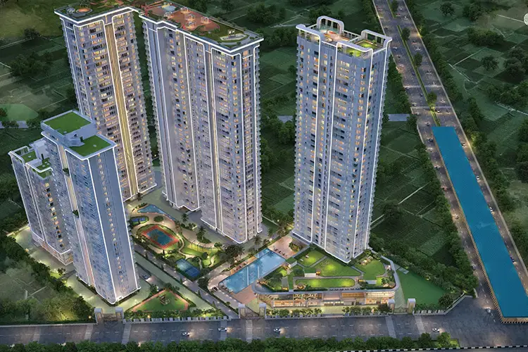 Delphine Main Banner 2