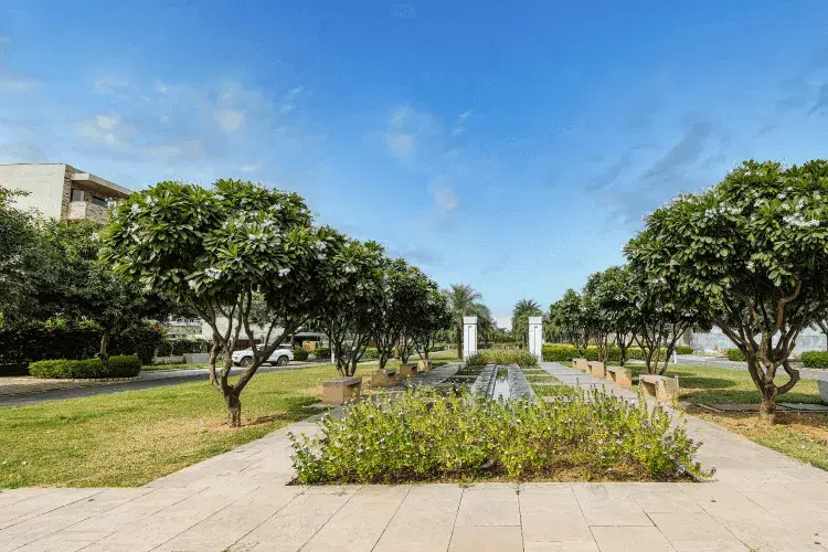 Dlf Alameda Floors Gurgaon Gallery Image 3