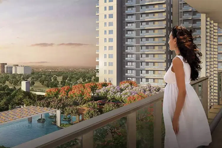 Dlf The Sixty Three Gallery Image 2