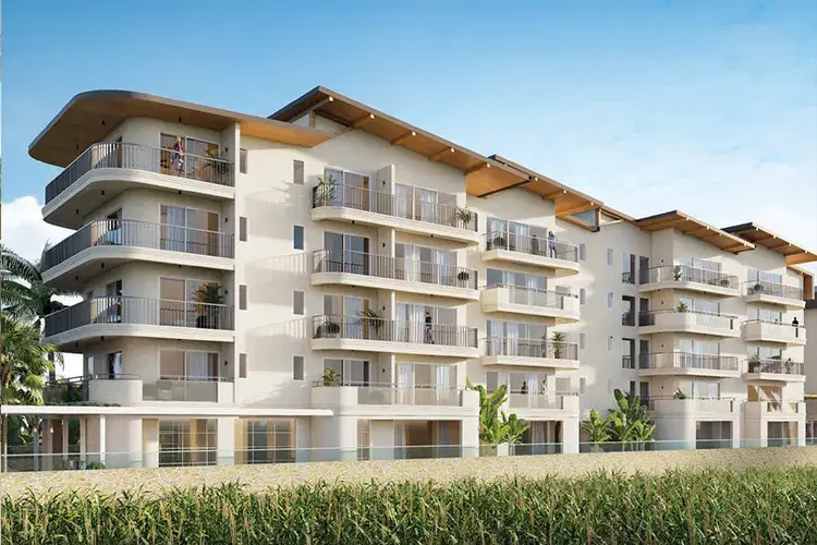 Conscient Vista Arrozal Exterior 3