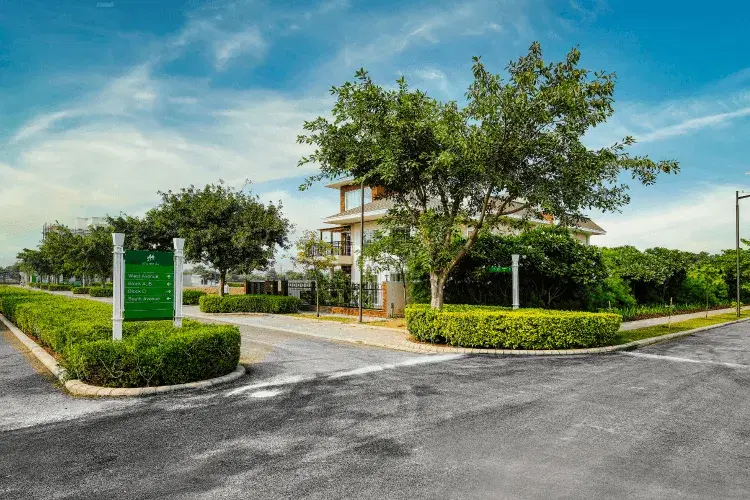 Dlf Alameda Floors Gurgaon Gallery Image 2