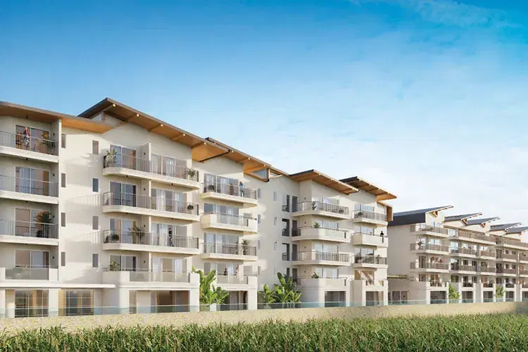 Conscient Vista Arrozal Exterior 2