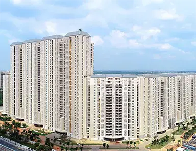 DLF Camellias Resale Market: Prices, Trends and What Buyers Should Know (2026)
