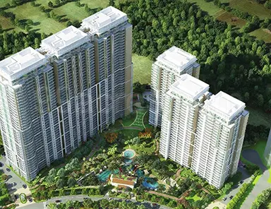 Latest Update on Constructions of DLF The Crest