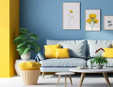 Two Colour Combination For Living Room - Make The Best Choice For Yours