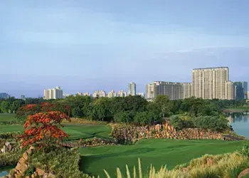 DLF Camellias Gurgaon Property Image