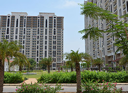 DLF New Town Heights Gurgaon